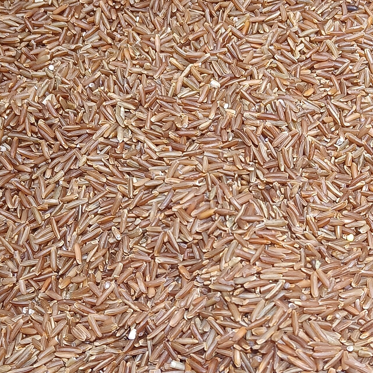 Heirloom red rice