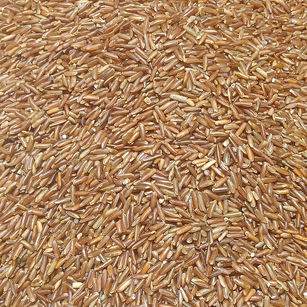 Red rice grains