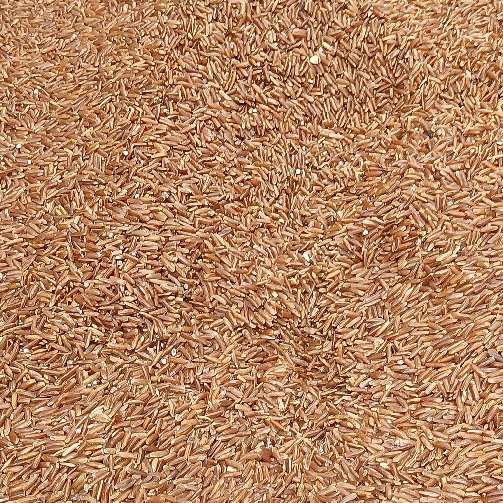 Red rice close-up