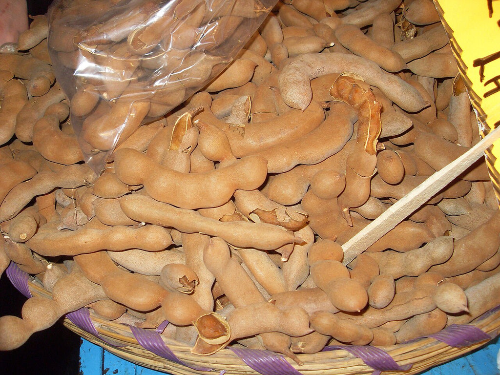 Tamarind pods